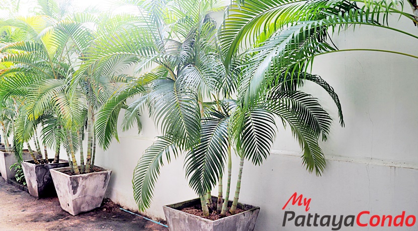 Art on the Hill Pattaya Condo For Sale - AOH13